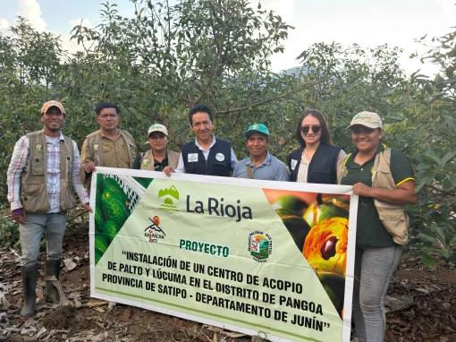Instalación de un centro de acopio de palto y lúcuma en Pangoa – Satipo (Junín, Perú)